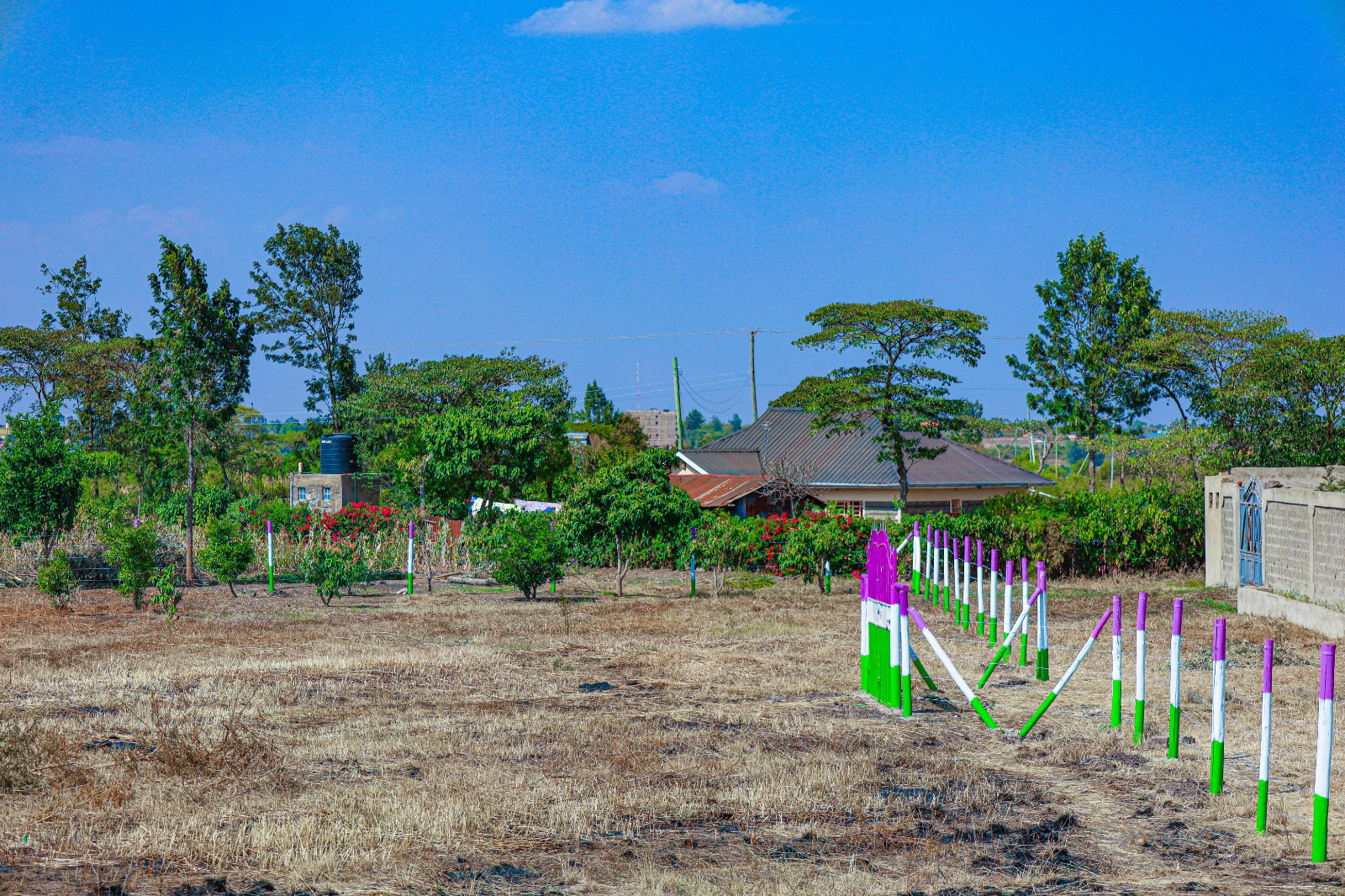 Victory Gardens Phase 2